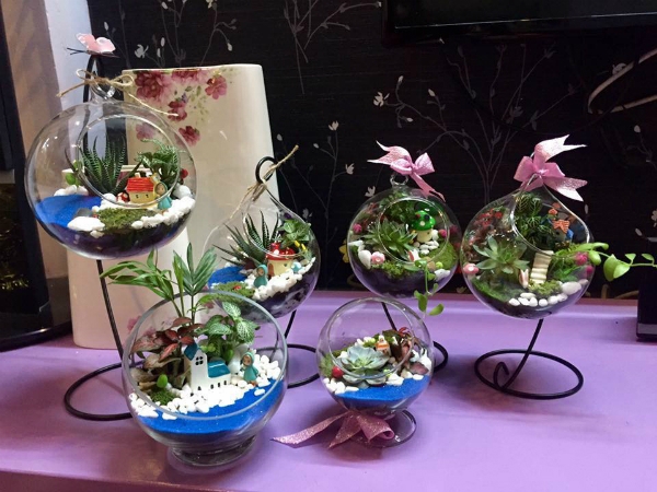 Làm đẹp không gian với tiểu cảnh trong bình thủy tinh